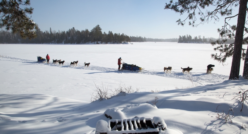 on a large ice and snow-covered lake, two teams of sled dogs and their mushers take a break